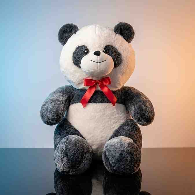 Black & White Panda Soft Toy - Soft Toys - Blessing Gifts